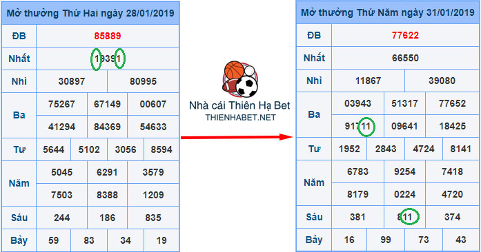 kinh-nghiem-soi-lo-kep-11