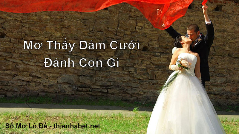 mo-thay-dam-cuoi-danh-con-gi-so-mo-lo-de-thien-ha-bet