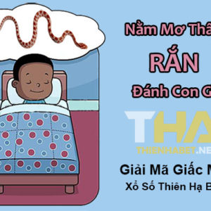 nam-mo-thay-ran-danh-con-gi-xo-so-thien-ha-bet-giai-ma-giac-mo