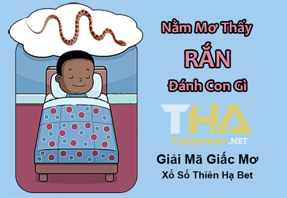 nam-mo-thay-ran-danh-con-gi-xo-so-thien-ha-bet-giai-ma-giac-mo