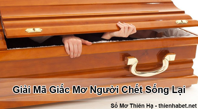 giai-ma-giac-mo-nguoi-chet-song-lai-so-mo-thien-ha