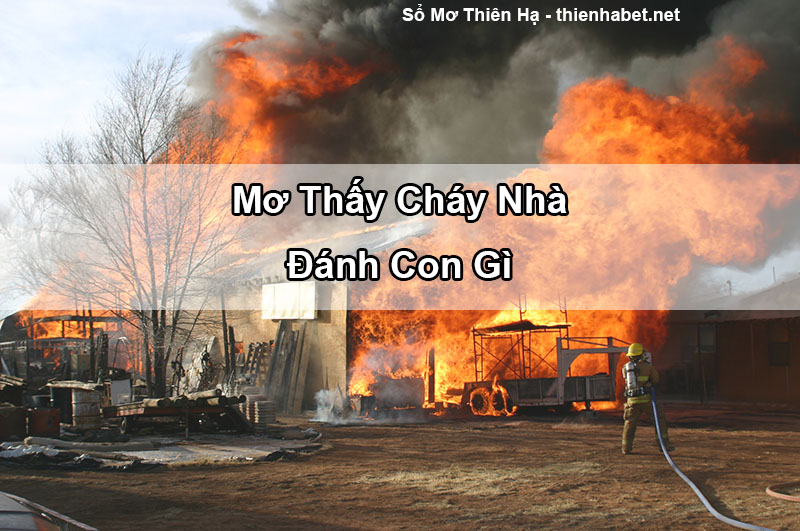 mo-thay-chay-nha-so-mo-thien-ha