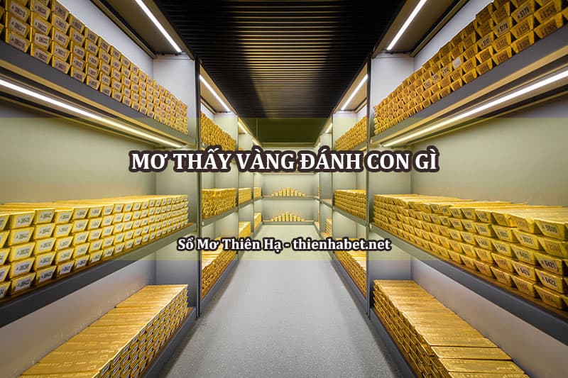 mo-thay-vang-danh-con-gi-so-mo-thien-ha-bet