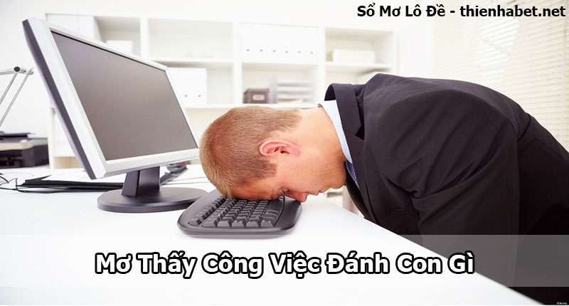 mo thay cong viec day con gi chuan nhat